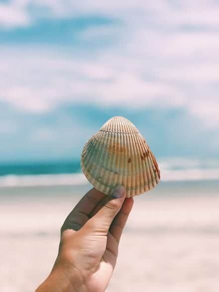 Emerald Isle Beaches: Visit The Point for Amazing Seashells - TREKKN