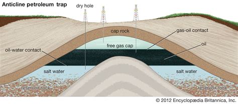 Petroleum Formation