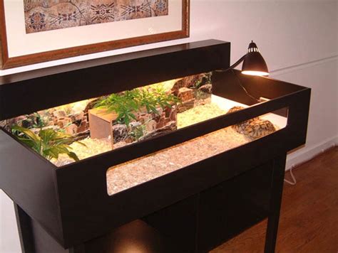 How to Set Up a Tortoise Table - Easy Setup Guide - Vivarium World