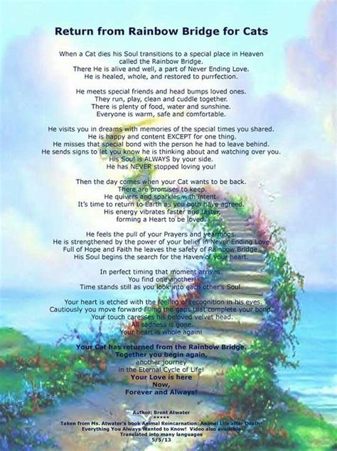 Pin by JoAnne Wilborn on Animals over Rainbow Bridge | Pet loss cat, Cat heaven, Rainbow bridge