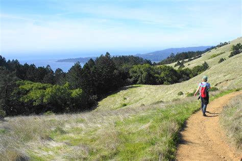 Steep Ravine – Matt Davis Trail Loop (Mount Tamalpais State Park, CA) | Live and Let Hike