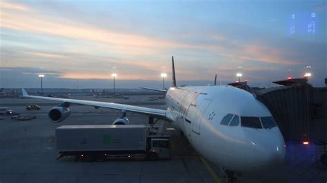 空港の駐機場に飛行機を積み込む：無料の動画素材