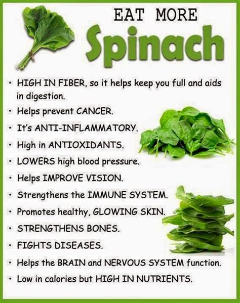 The Health Benefits of Spinach - Health Tips