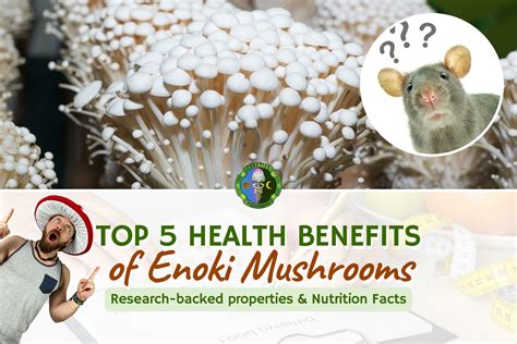 Enoki Mushroom Benefits & Nutrition Facts