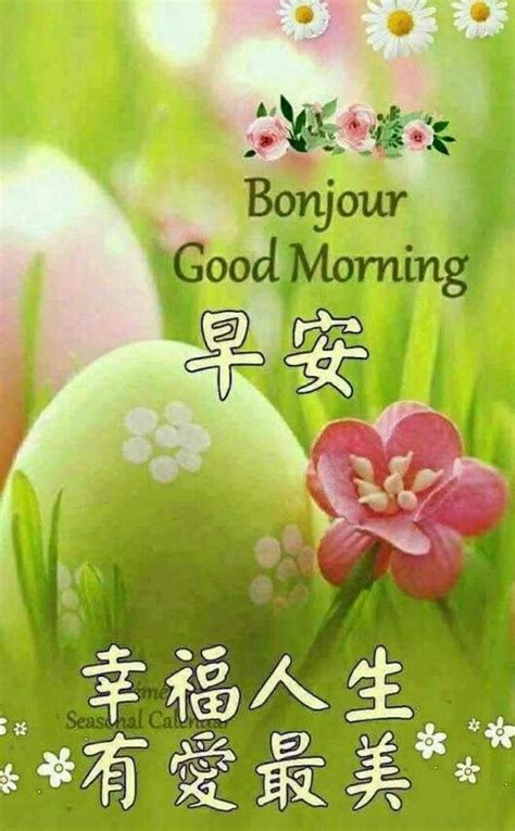 628 best Good Morning Wishes In Chinese images on Pinterest