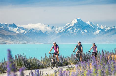 New Zealand Mountain Biking and Cycling Tours | About New Zealand