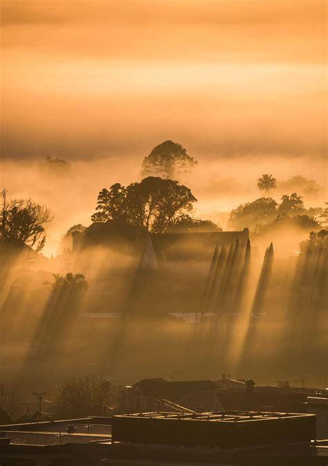 Morning Mist Glowing Sunrise Wallpapers - Wallpaper Cave