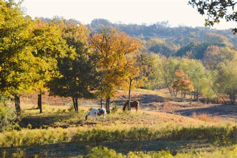 Beginners Guide to Camping in Texas Hill Country | RVC Outdoors