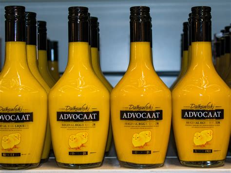 Advocaat | Local Cream Liqueur From Netherlands