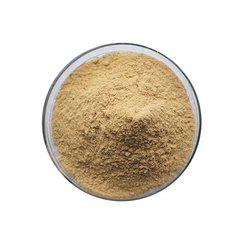 White Willow Bark Extract Powder