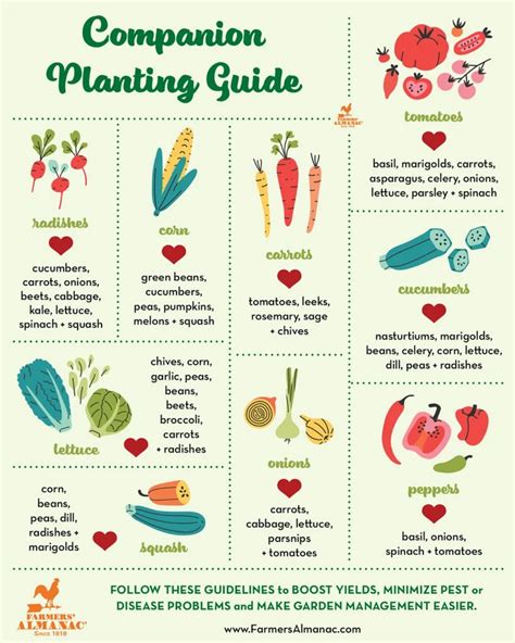 Companion Planting Guide: Sow Easy in 2021 | Companion planting guide, Companion planting ...