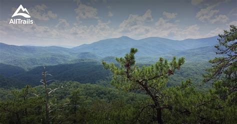 Pisgah National Forest Map Blanket - Pisgah National Forest Blanket - Airbnb Decor - Pisgah ...