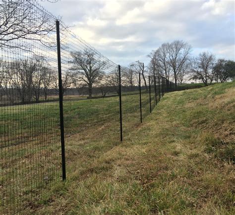 Deer Fence installed in rural Virginia by the Benner Deer Fence Company. | Deer fence, Garden ...