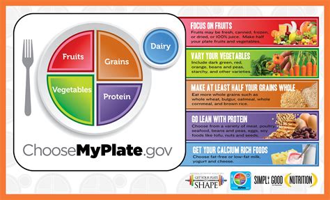 My Plate Printable