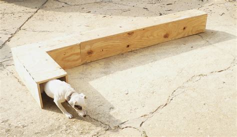 Entertain Your Pooch by Making This Super Cool DIY Earthdog Tunnel!