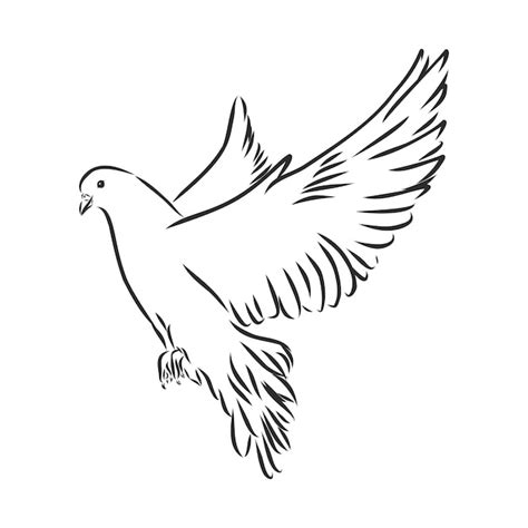 Premium Vector | Dove hand drawn illustration. vector line art with ...