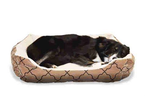 Choose the Right Dog Bed for Senior Pets - Customized Comfort