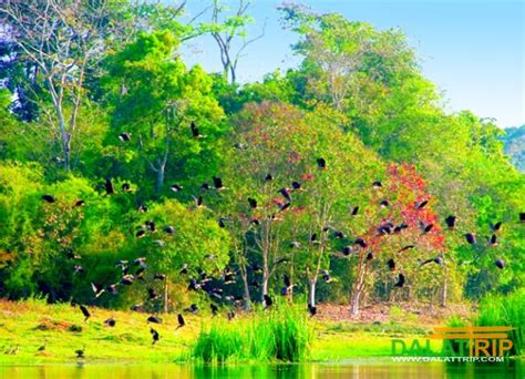 Cat Tien National Park in Vietnam