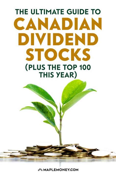 The Top 100 Canadian Dividend Stocks for 2024