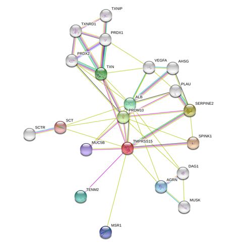 Enterokinase Protein Overview | Sino Biological