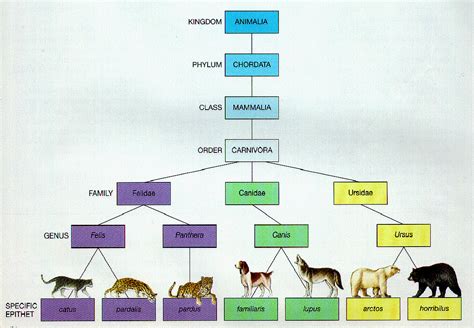 Biology Documents