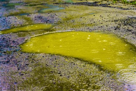 Piogge acide e misurazione precipitazioni - Laboratorio STEM - Focus Scuola