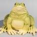 Frog Garden Statue toad Figuinre feng Shui Decor wildlife Animal ...