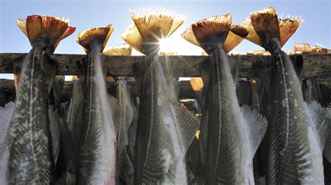 What's A Holiday Without Lutefisk And A Little White Lye? : The Salt : NPR