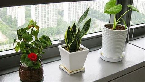 How To Decorate Your Office Cubicle - To Stand Out in the Crowd - One ...