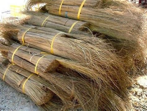 Coconut Broom Stick at Best Price from Manufacturers, Suppliers & Dealers