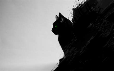 cat, Black Cats, Animals, Green Eyes, Artwork, Digital Art, Black, Gray Wallpapers HD / Desktop ...