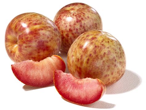 Pluots…greatest fruit ever invented? | MarkWeinGuitarLessons.com