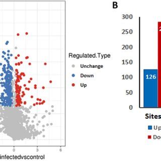 The identification of acetylation proteins and sites in PPRV-infected... | Download Scientific ...