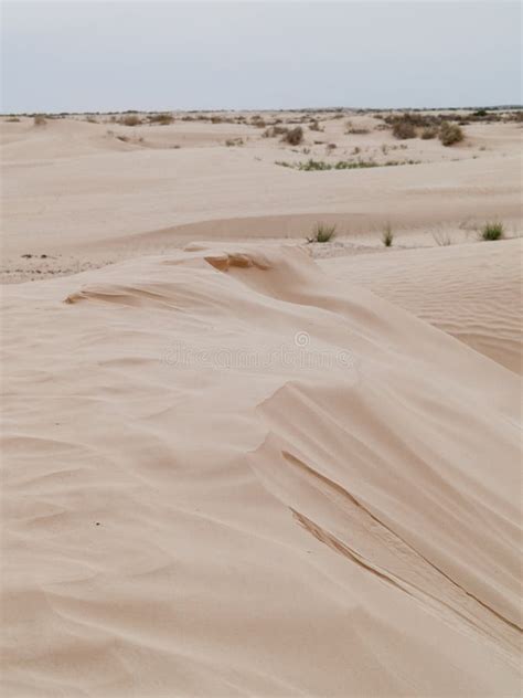 Douz-Tunisia, Sahara Desert in Southern Tunisia, Sand Dunes Stock Photo - Image of scenery ...