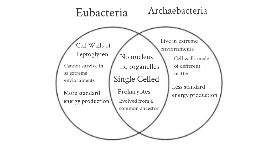 Archaebacteria Vs Eubacteria Venn Diagram