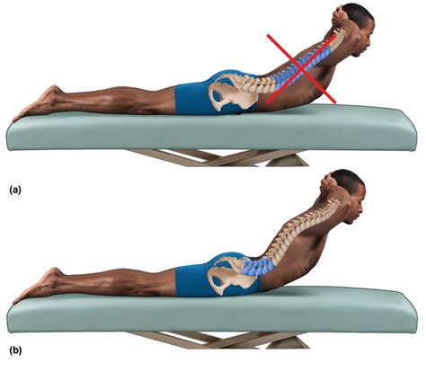 7 EXERCISES IN 7 MINUTES FOR INSTANT LOWER BACK PAIN RELIEF - TrainHardTeam