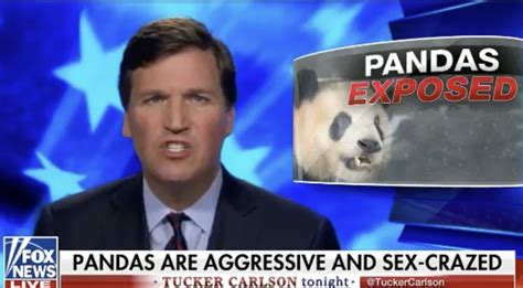 Tucker Carlson Is More Dangerous Than Ever - NewsHounds