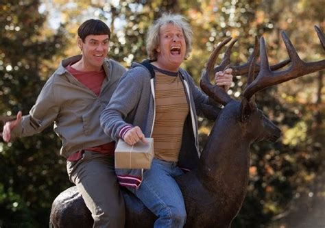 Dumb and Dumber 2 Trailer