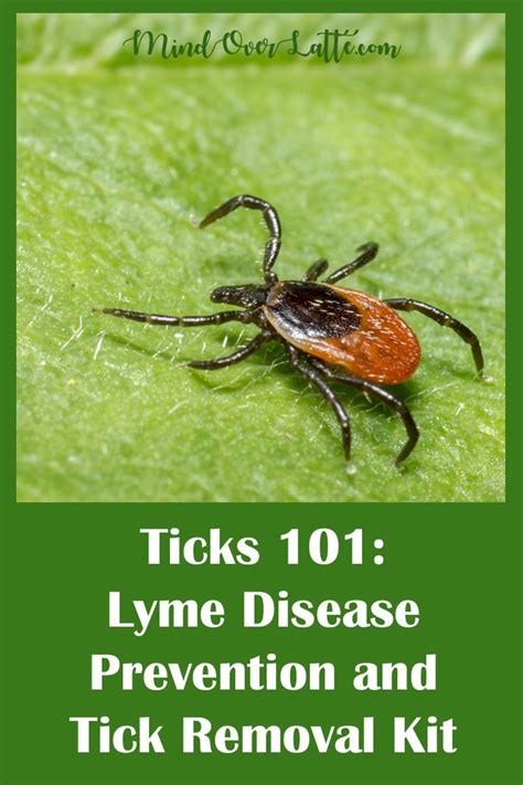 Ticks 101: Lyme Disease Prevention and Tick Removal Kit | Mind Over ...