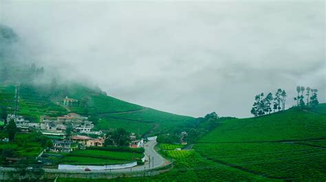 Ooty | Udhagamandalam | Hill stations in Tamil Nadu