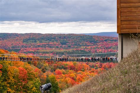 SkyBridge Michigan, World’s Longest Timber-Towered Suspension Bridge Opens