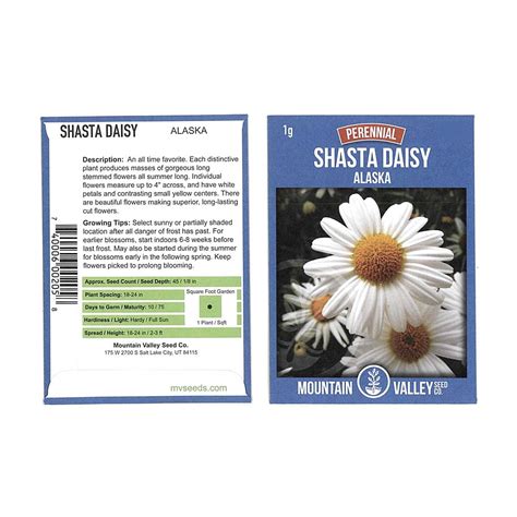 Shasta Daisy Flower Seeds - Alaska Variety - 1 Gram Seed Packet - White Blooms, Yellow Centers ...