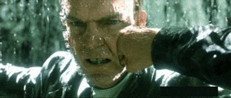 The Matrix Film GIF - Find & Share on GIPHY