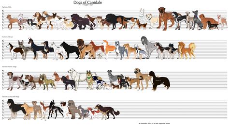 Dog Breed: Dog Breed Chart