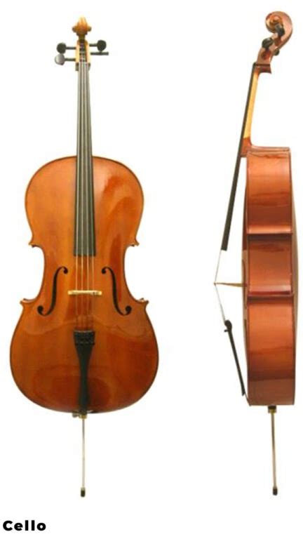 Violin Family - A Quick Guide - Phamox Music