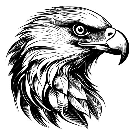 Premium Vector | Eagle vector illustration