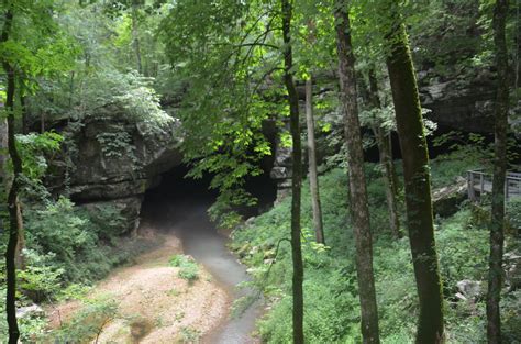 Volunteer - Russell Cave National Monument (U.S. National Park Service)