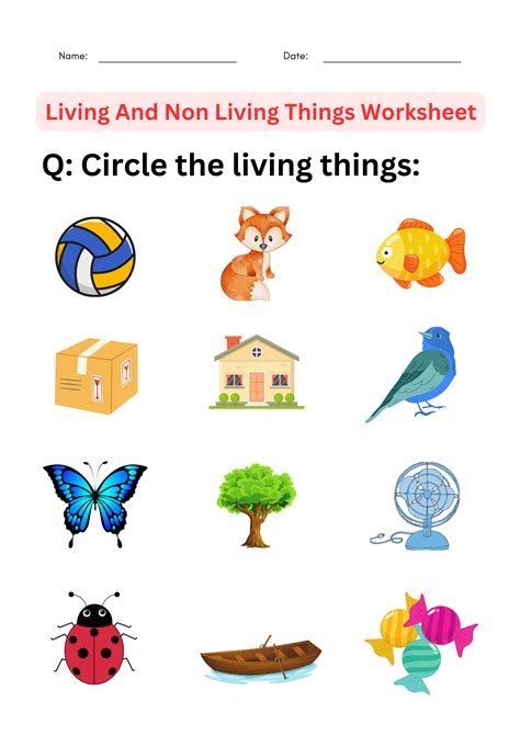 science living and non living things worksheet for grade 1, 2, 3, 4 ...