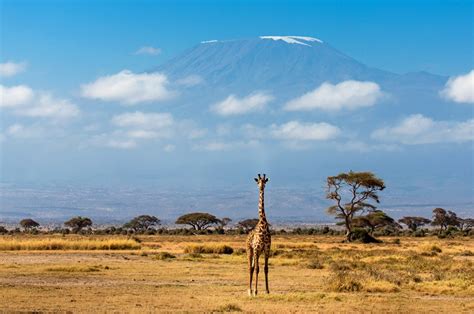 6 Days Masai Mara, Lake Nakuru & Amboseli Safari - Sunnycreek Safaris