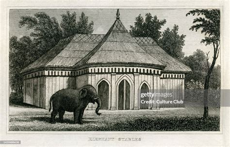 Elephant stables, Regent's Park Zoological Gardens, London. From 1835... News Photo - Getty Images